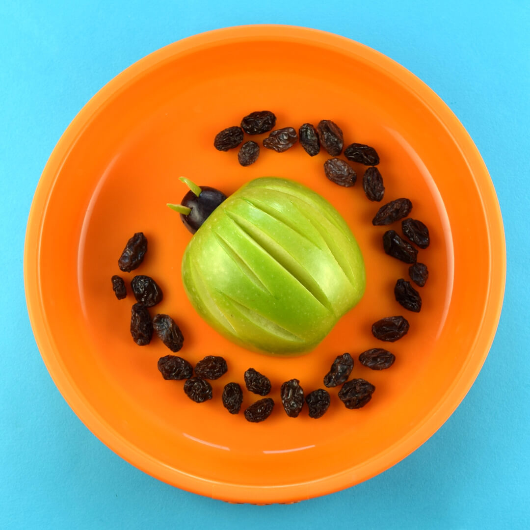 Bustling beetle fun plate