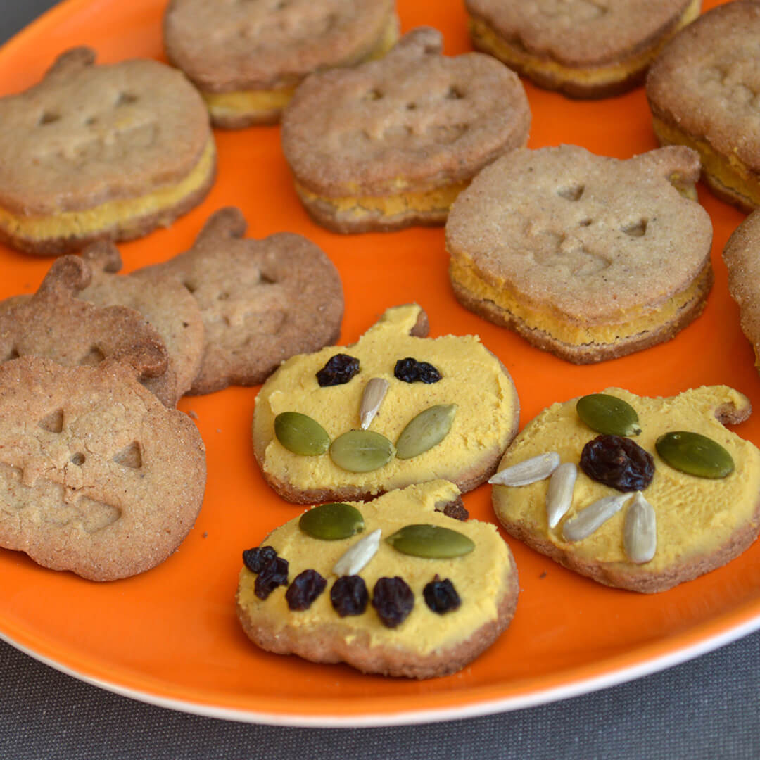 Pumpkin Pie Biscuits baked in the shape of and decorated to look like pumpkins