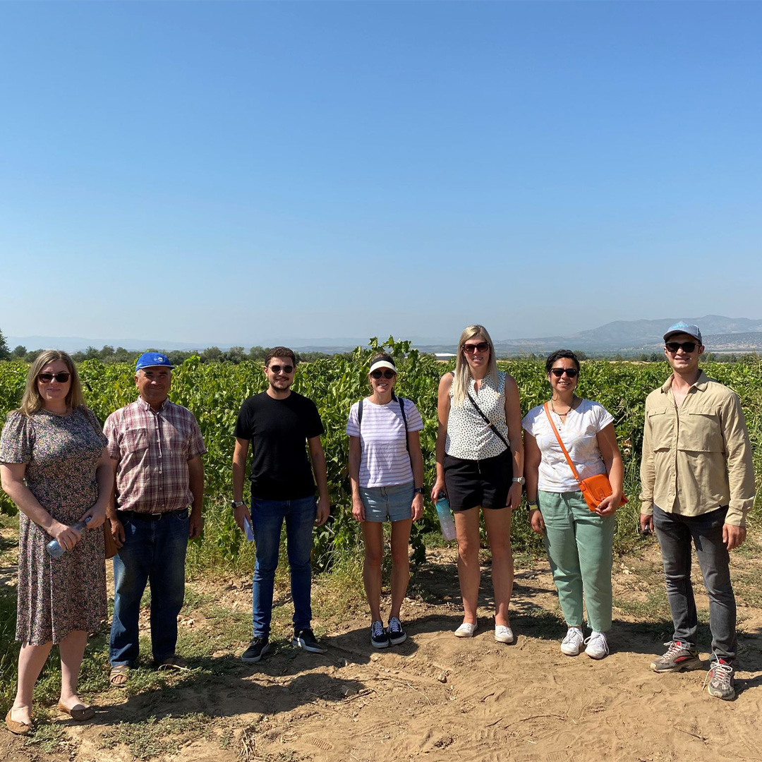 7 people standing in front of crops. Stood on a sandy path with a bright blue sky. 