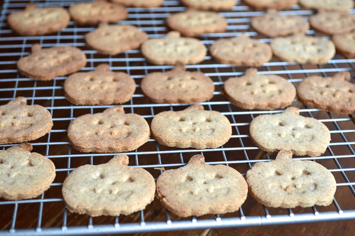 Pumpkin shaped biscuits on a wire cooling rack