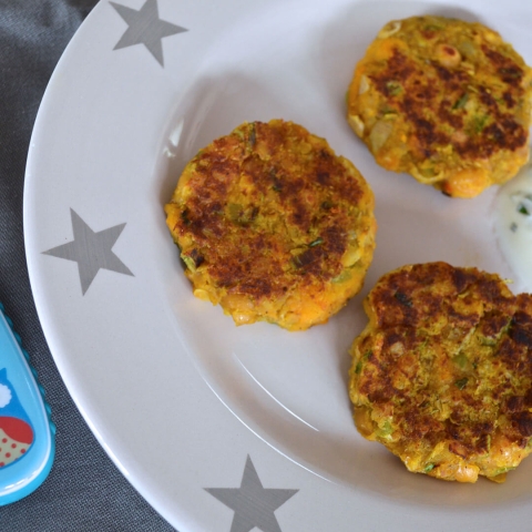 Leftover Chicken Or Turkey Patties