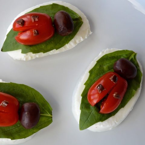 Little Ladybirds